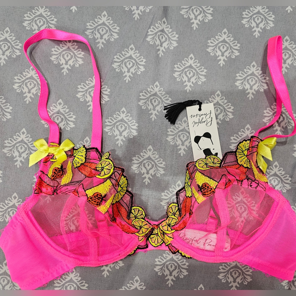 Dolls Kill Playful Promises Mesh Magda Pink Neon Cocktail Embroidery Bra S 32B - Picture 5 of 5